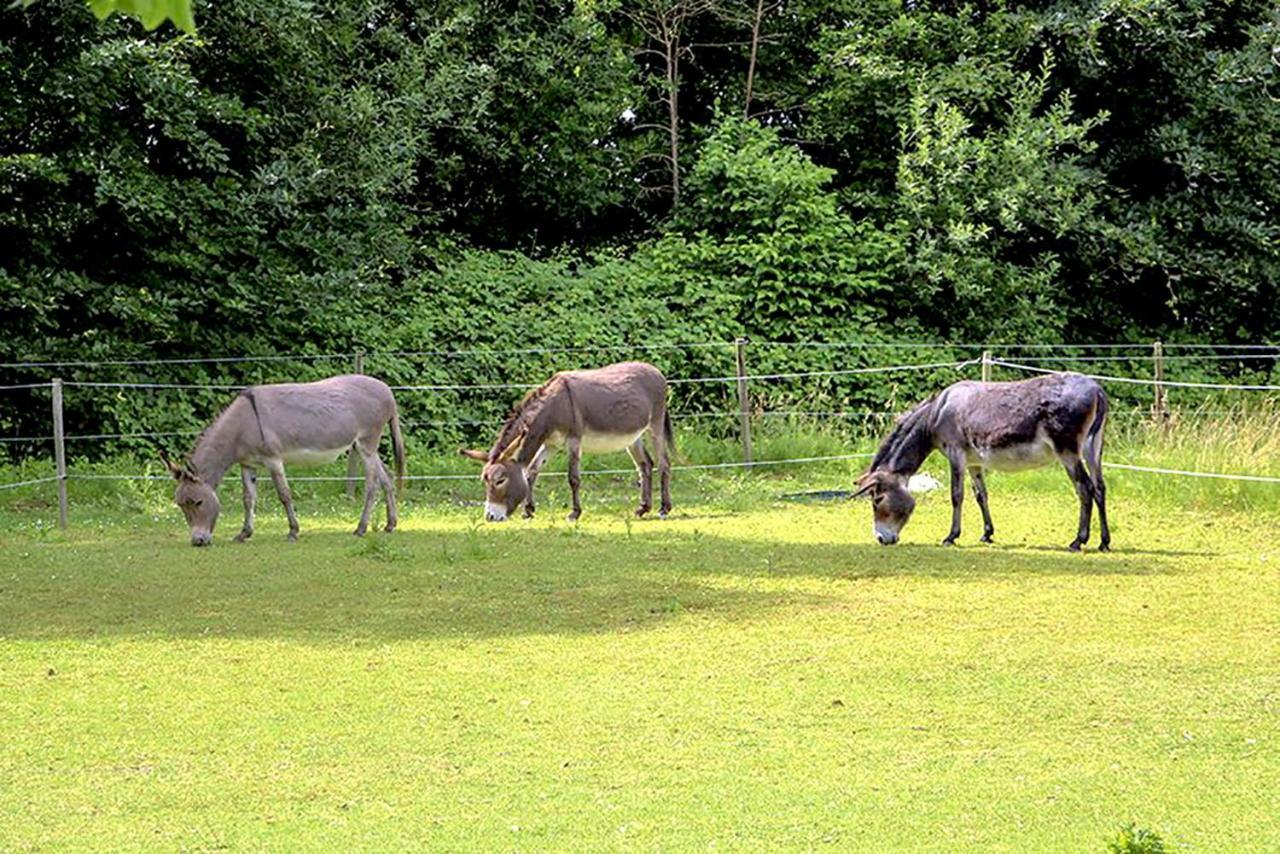 B&B Landgoed Rijckholt Geersdijk Екстериор снимка